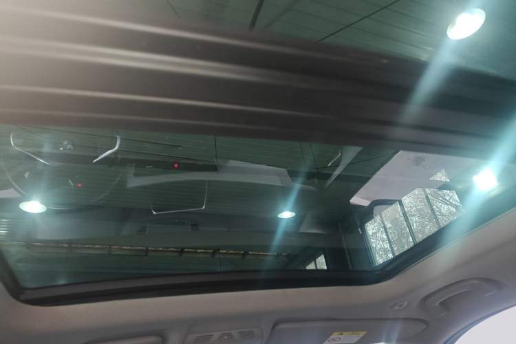 Used BMW X1 2019 sDrive20Li Leading Model Headliner