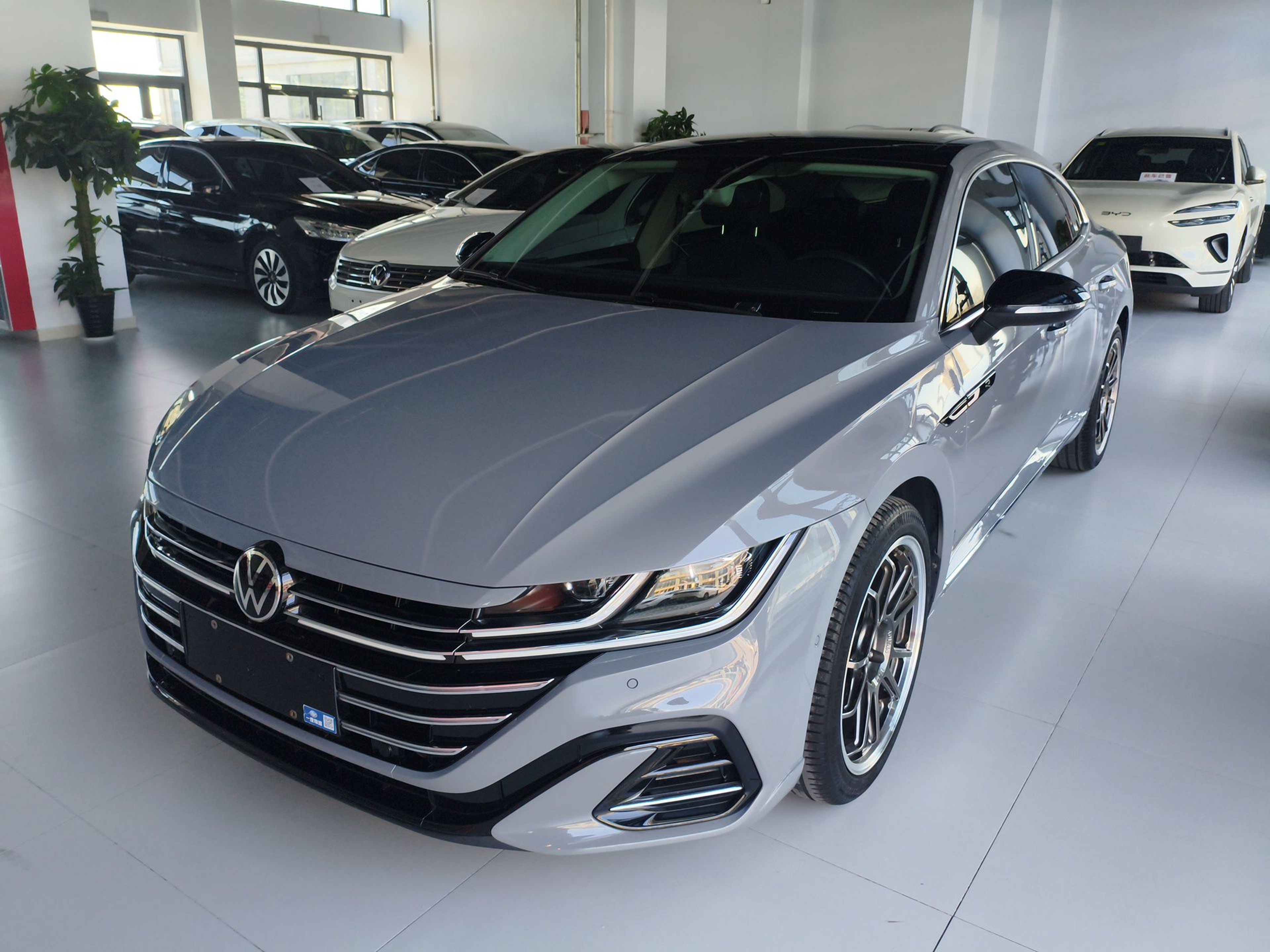 Parte inferior delantera