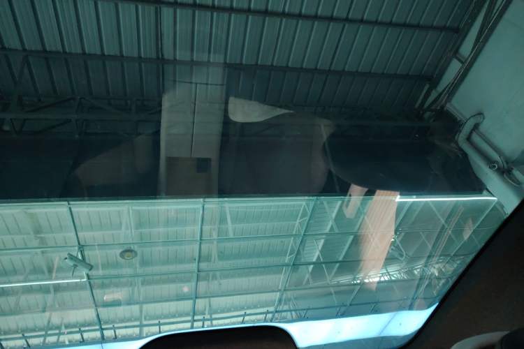 Used Audi E5 Sportback 2026 Flagship Quattro Model
