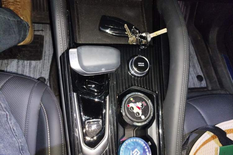 Used Geely Auto Monjaro L 2024 2.0TD DCT EVO Two-Wheel Drive Long-Range Version
