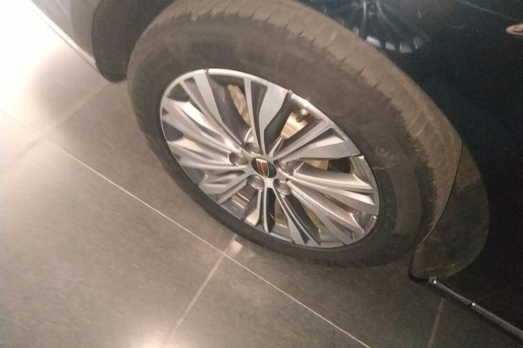 Used Hongqi H9 2022 2.0T Smart Connect Flagship Edition
