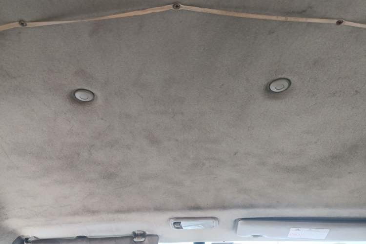 Used FORTHING Lingzhi 2020 M5L 1.6L Utility Model