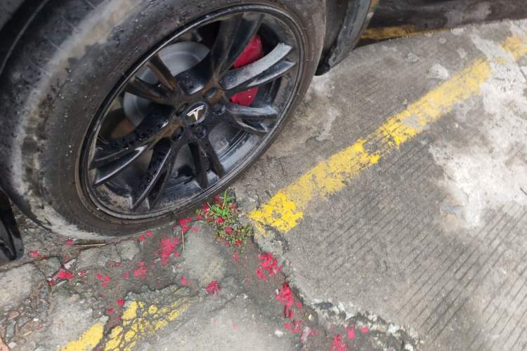 Used Tesla Model Y 2022 Revised Version Rear-Wheel Drive