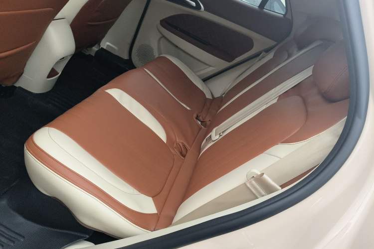 Used ORA Good Cat 2023 401 km Standard Range Luxury Version Ternary Lithium
