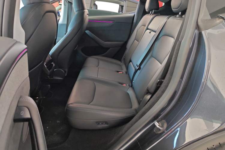 Used Tesla Model Y 2025 Long-Range All-Wheel Drive First Edition Left Rear Seat