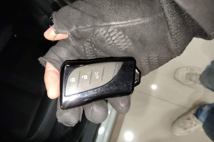 Used Lexus UX New Energy 2020 300e Pure·Joy Edition
