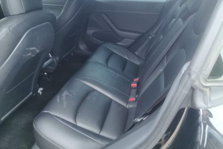 Used Tesla Model 3 2020 Standard Range Rear-Wheel Drive Upgraded Version Left Rear Seat