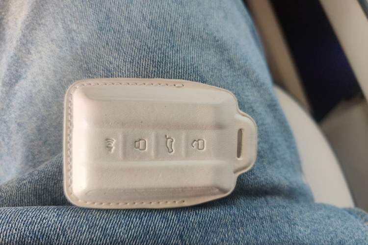 Used Tank 500 New Energy 2024 Hi4-T
