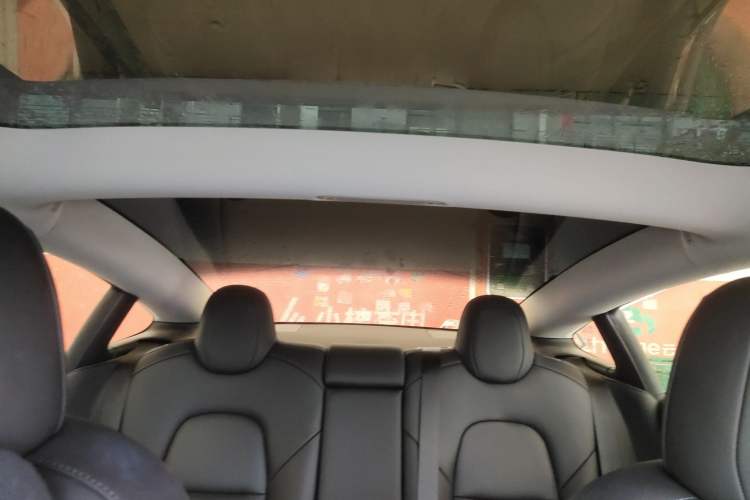 Used Tesla Model 3 2022 Performance High-Performance All-Wheel-Drive Version Headliner