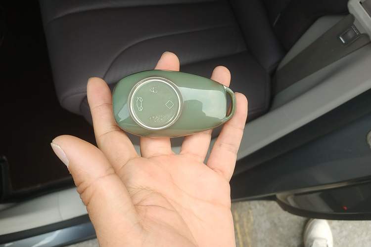 Used Leapmotor C11 2021 Executive Edition 510