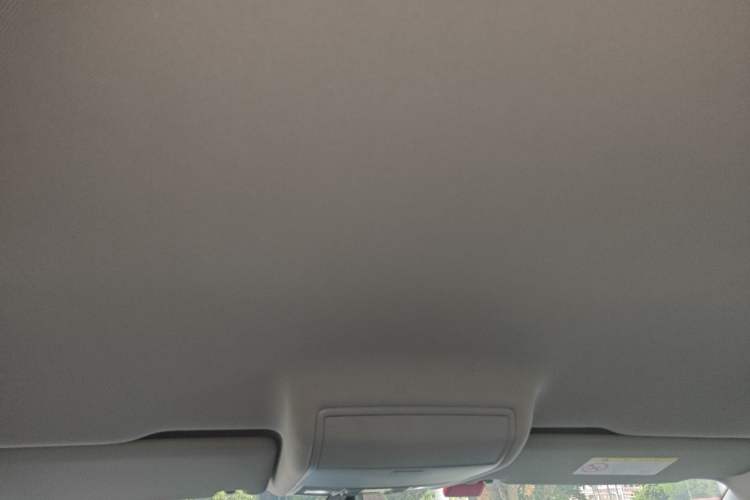 Used Volkswagen Tiguan L 2020 330TSI Automatic Two-Wheel Drive Luxury Edition China VI Standard Headliner