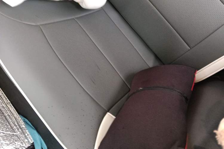 Used CHANGAN NEVO Lumin 2024 130km Qingyue Version
