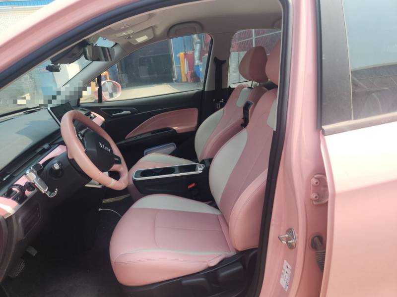 Used NETA V 2022 Chao 400 Lite Pink Custom Edition — 17