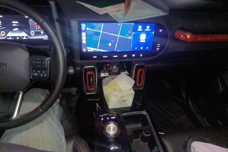 Used Haval DARGO 2021 2.0T DCT 4x4 Chinese Rural Dog Edition