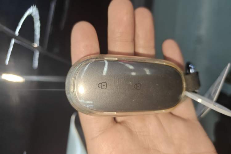 Used Li Auto L9 2022 Max model