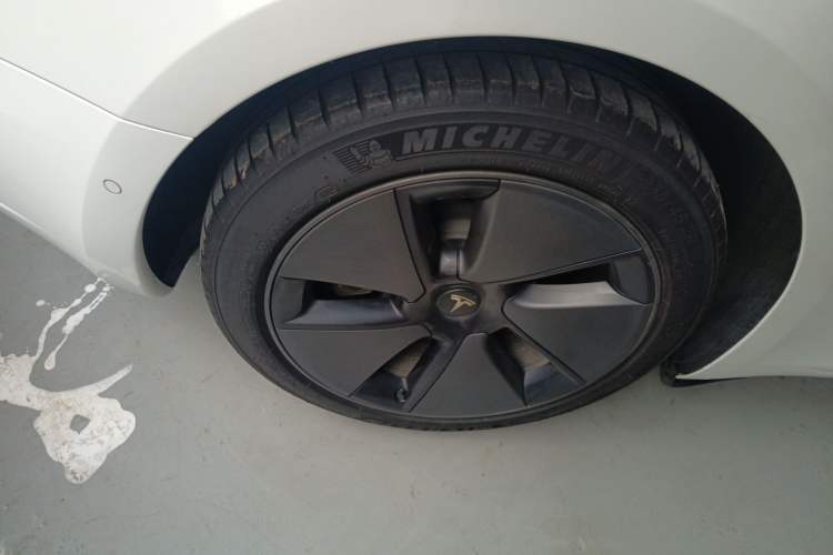 Used Tesla Model 3 2022 Rear-Wheel-Drive Version Exterior 5