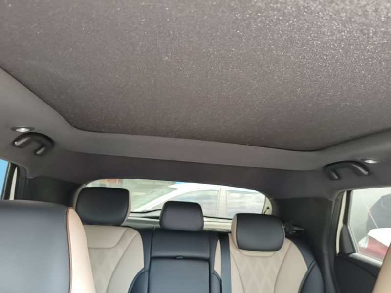 Used BYD Dolphin 2024 Honor Edition 420km Fashion Version — 17