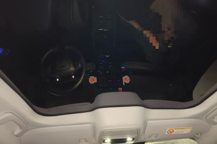 Used Ford Mustang Mach-E 2021 AION Y Plus Rear-Drive Luxury Edition (Long Range)