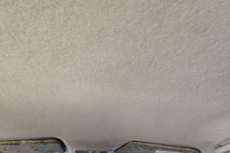 Used Chevrolet Sail 2010 Hatchback 1.2L Manual Warm Edition Headliner