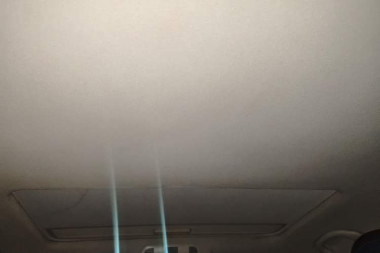 Used Volkswagen Magotan 2012 1.8TSI Prestige Model Headliner