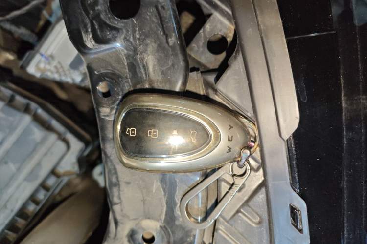 Used Wey Lanshan 2023 Four-Wheel Drive Ultra-Long Range Version