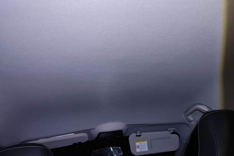 Used NETA U 2021 Pro 400 Cruiser Edition
