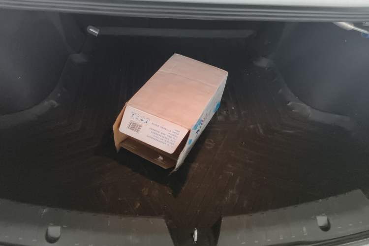 Used AION S 2020 Xuan 580