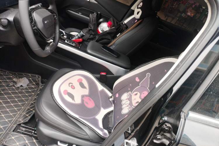 Used Wuling Xingguang 2023 150 Advanced Edition Left Front Seat