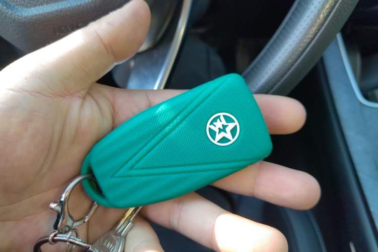 Used Venucia V 2022 260T Black Horse Edition · Idol