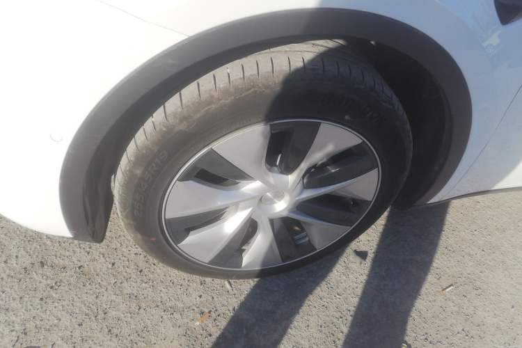 Used Tesla Model Y 2022 Revised Version Long-Range All-Wheel Drive