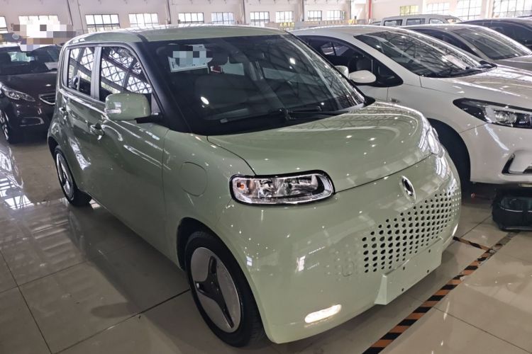 Used ORA White Cat 2020 360 km Luxury Version Front Right 45 Deg