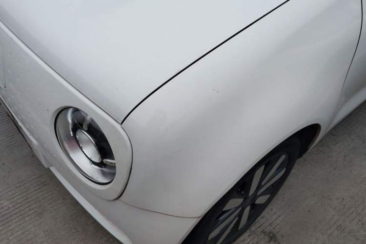 Used ORA Black Cat 2019 351 km Family Edition
