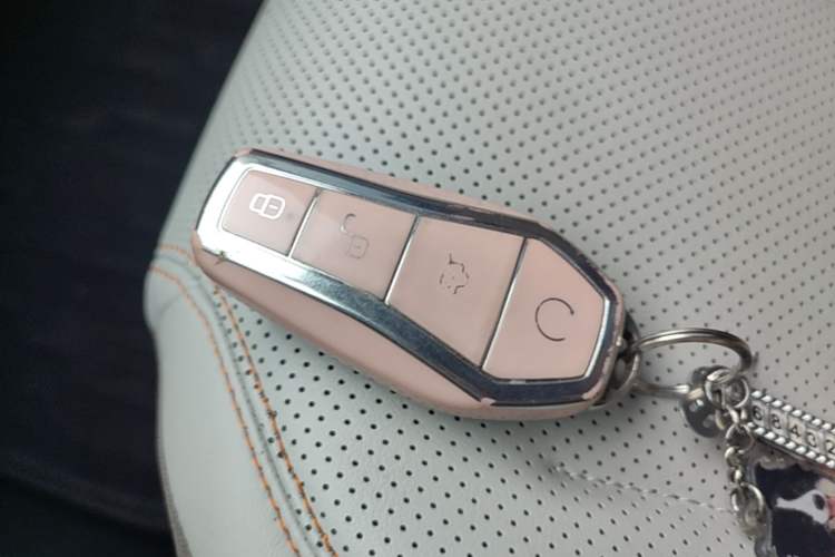 Used BYD Qin PLUS 2024 HONOR Edition DM-i 55KM Leading Model
