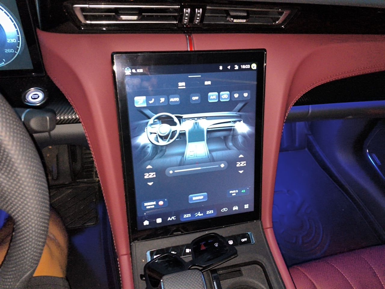 Hongqi H5 2025 Model 2.0T Automatic Xuan Ying 2 Million Units Commemorative Edition — снимка 10