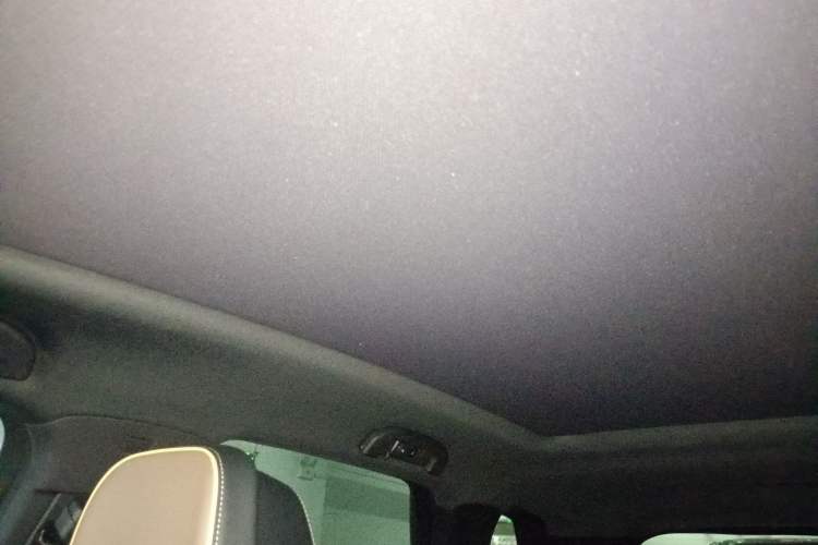 Used BYD Tang New Energy 2021 DM-i 112KM Prestige Model Headliner