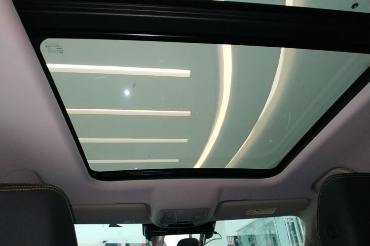 Used Haval DARGO 2022 2.0T DCT 4x4 Chinese Rural Dog Edition
