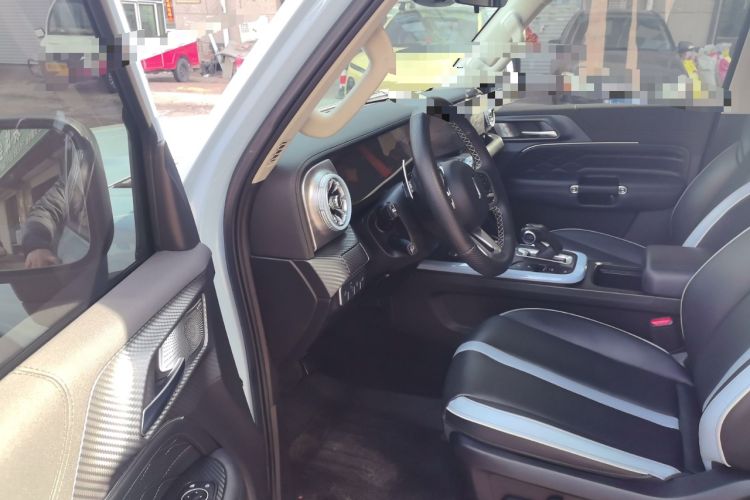 Used Tank 300 2021 2.0T Monet Tribute Limited Edition