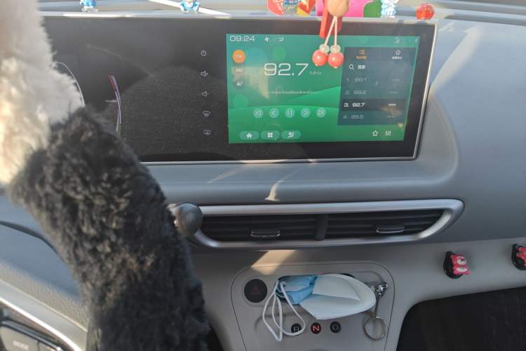 Used ORA White Cat 2020 305 km Luxury Version
