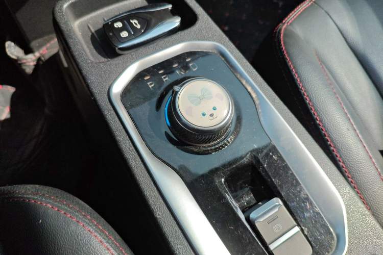 Used Dayun Yuehu 2021 32.85 kWh Two-Wheel-Drive Sprite Version