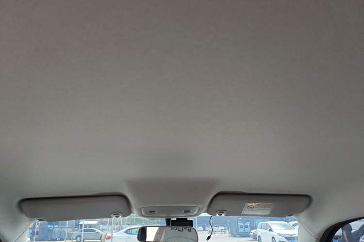 Used Leapmotor T03 2024 310 Comfort Edition Headliner