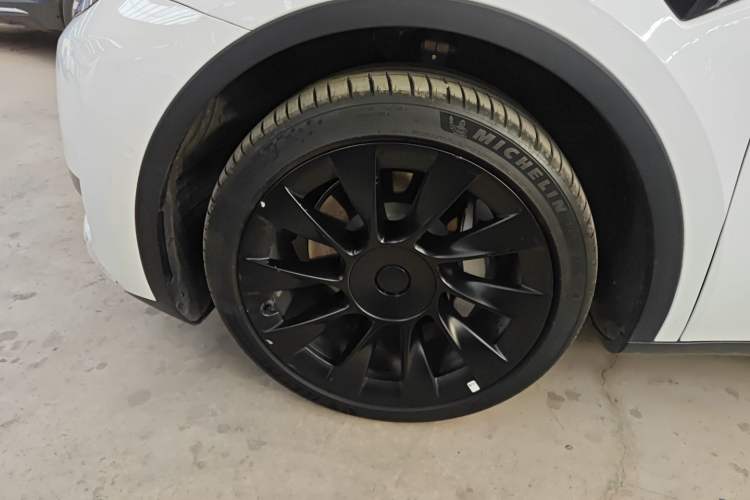 Used Tesla Model Y 2023 Rear-Wheel-Drive Version Exterior 4