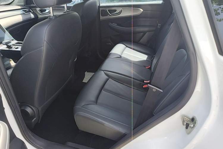 Used Roewe RX5 2022 330TGI Automatic National Style Edition Left Rear Seat