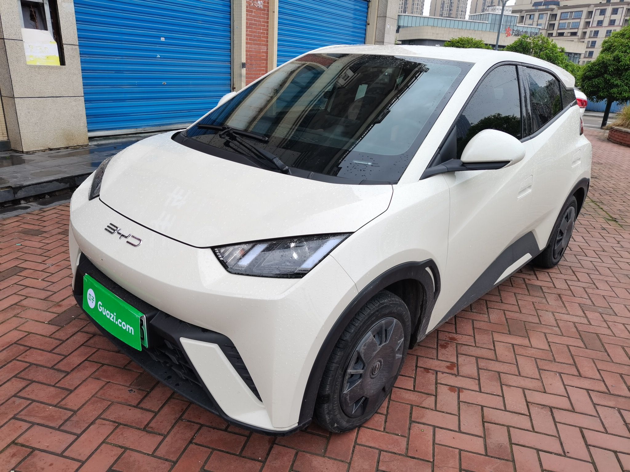 Parte inferior delantera