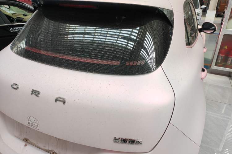 Used ORA Good Cat 2024 401 km Luxury Version