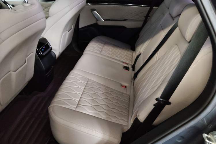 Used BYD Tang New Energy 2022 DM-p 215 km All-Wheel-Drive Deluxe Model Left Rear Seat