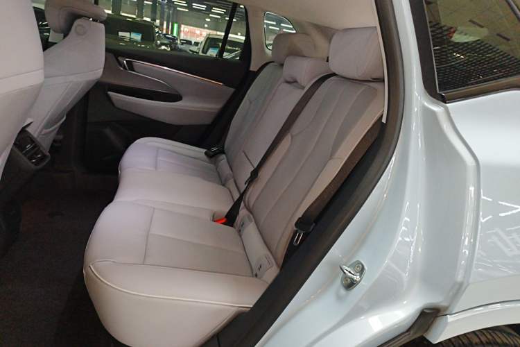 Used Buick E5 2024 Premium Standard-Range Audiovisual Edition