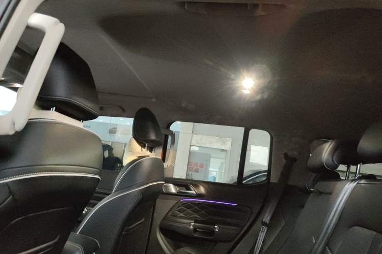 Used Tank 300 2021 Off-Road Edition 2.0T Conqueror Headliner