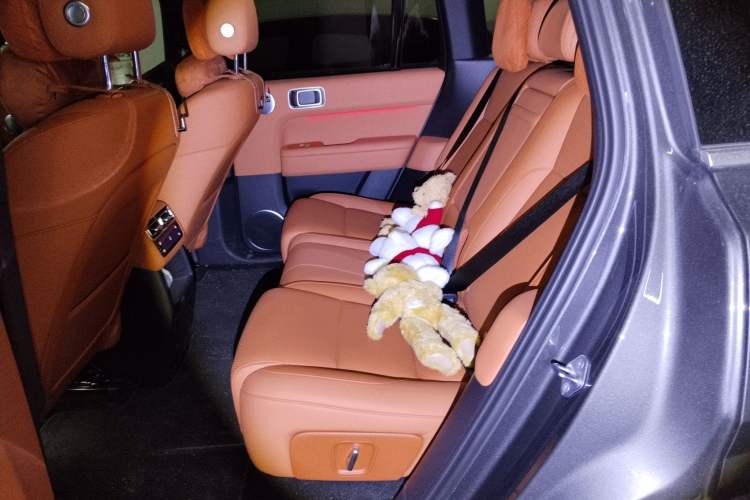 Used Li Auto L6 2025 Pro Smart Refresh Edition Left Rear Seat