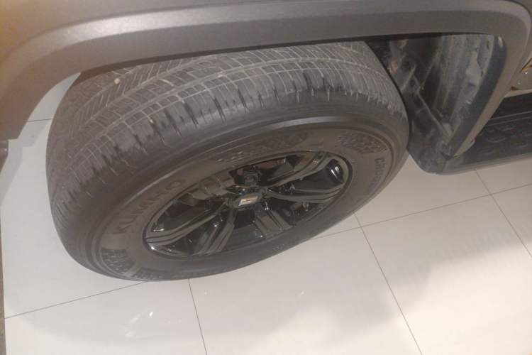 Used Tank 300 2024 2.0T Conqueror