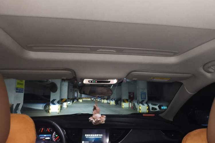 Used Buick Regal 2019 20T Elite Version China V Standard Headliner